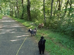 Im Frühling 2020 (4)